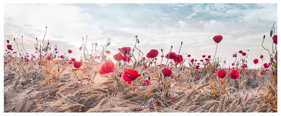 Obraz na płótnie Styler Poppies, 60x150 cm