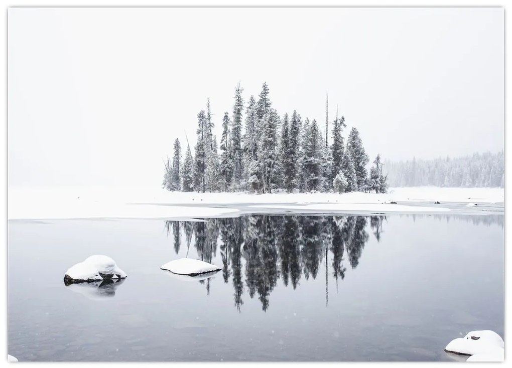 Obraz - Było biało (70x50 cm)