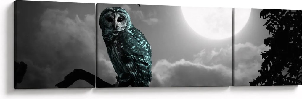 Obraz - Nocna sowa, niebieski (170x50 cm)
