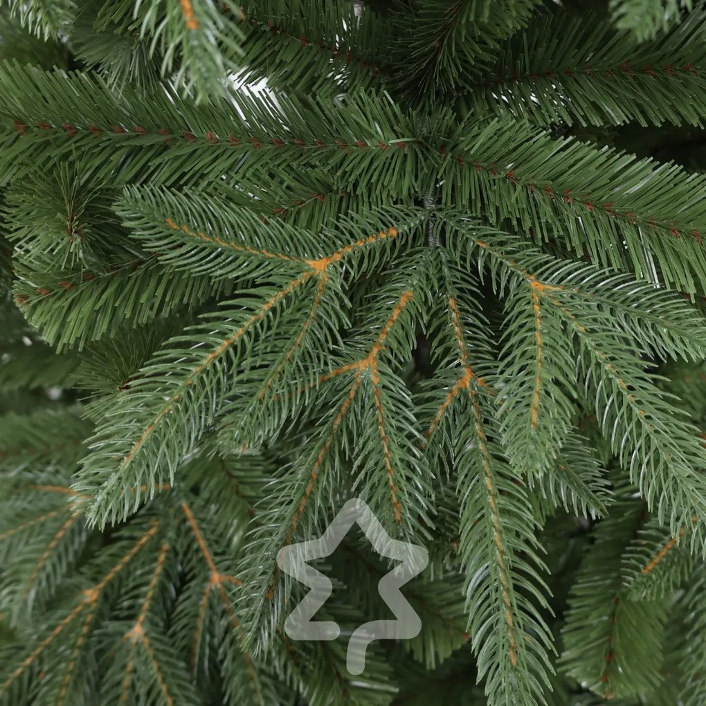 Jodła naturalna 210 cm