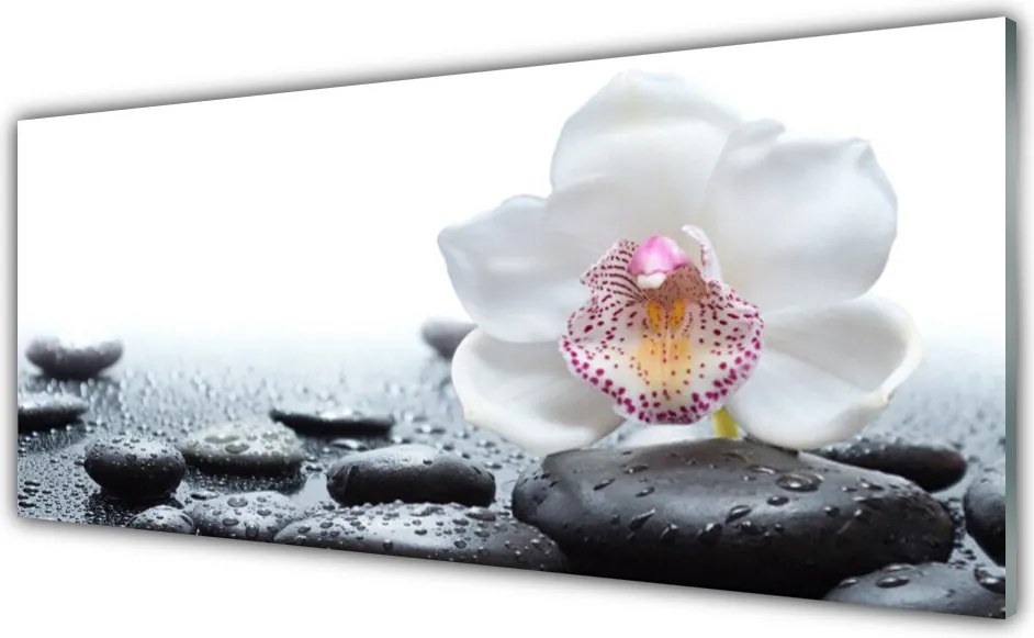 Panel Szklany Malarska Interpretacja Storczyka