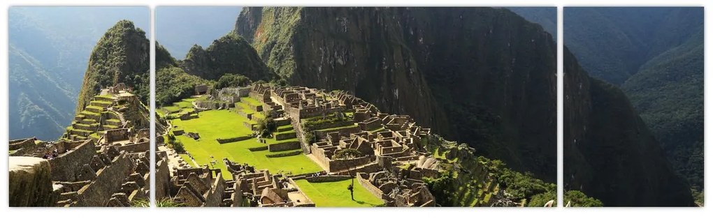 Obraz - Lamy na Machu Picchu (170x50 cm)