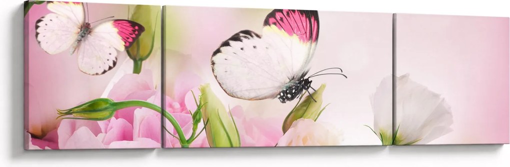 Obraz - Motyl (170x50 cm)