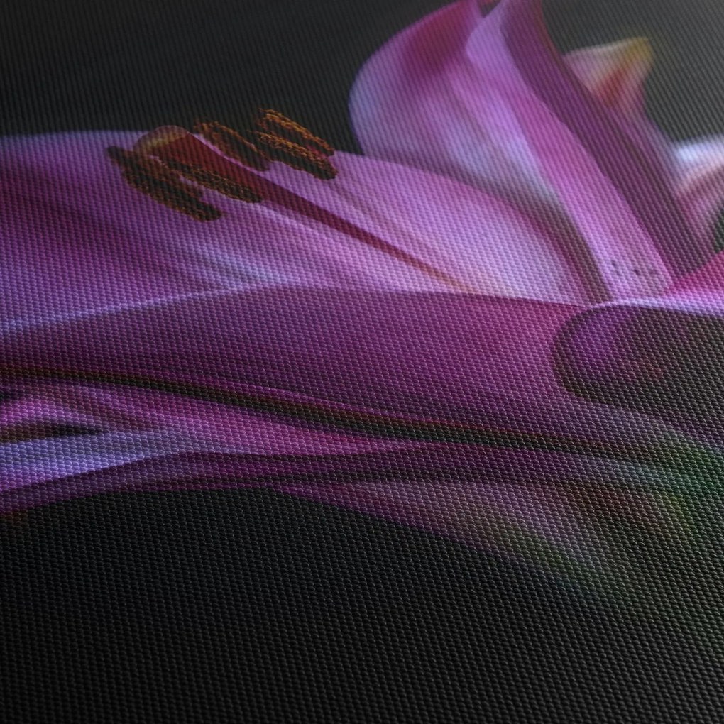 Obraz lilii (170x50 cm)