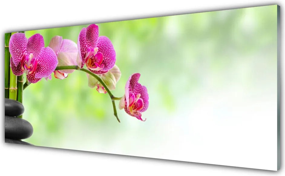 Dekor Szklany do Kuchni Natura W Objęciach Bambusa