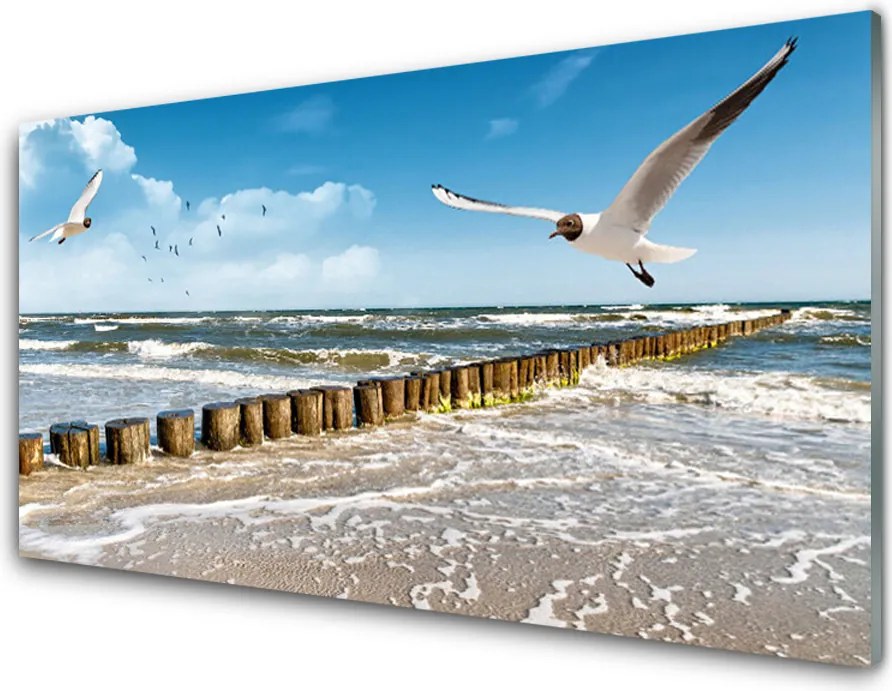 Szkło do Kuchni na Ścianę Mewy nad Morskim Brzegiem