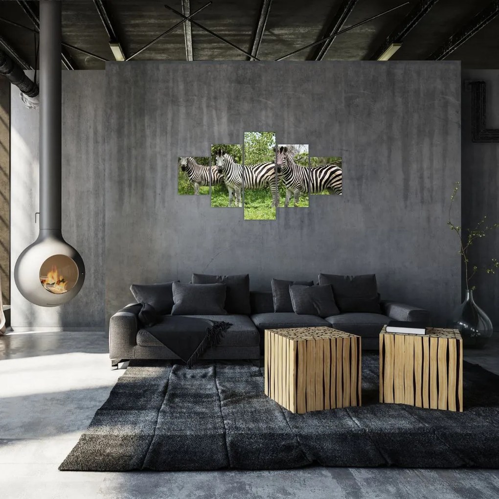 Obraz z zebrami (125x70 cm)