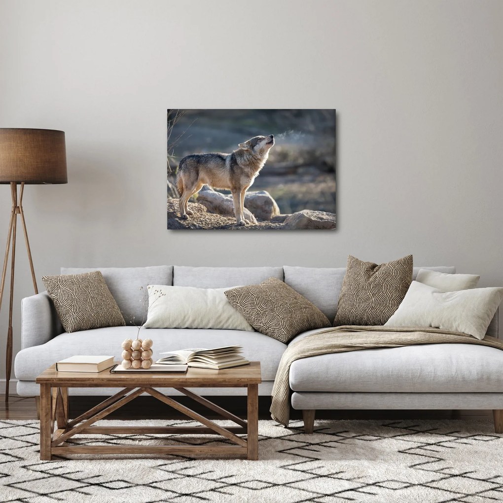 Obraz - Wyjący Wilk (70x50 cm)
