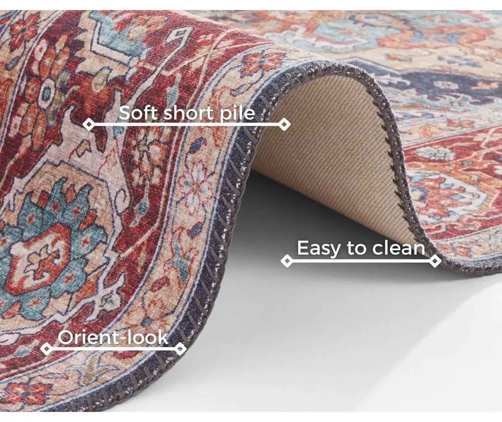 Czerwono-granatowy dywan Nouristan Sylla, 200x290 cm