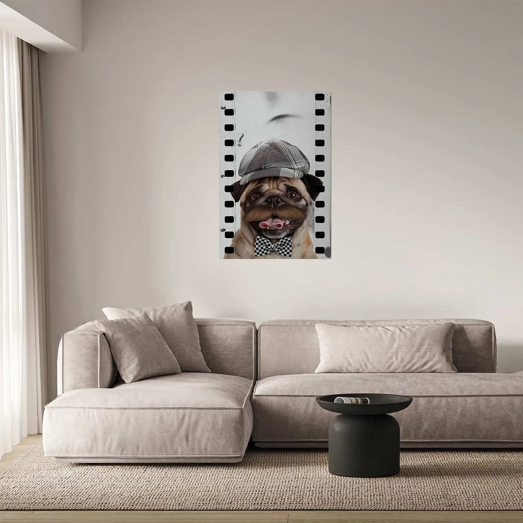 Plakat Mops w czapce 40x60 cm bez ramy bez marginesu ARTGEIST B