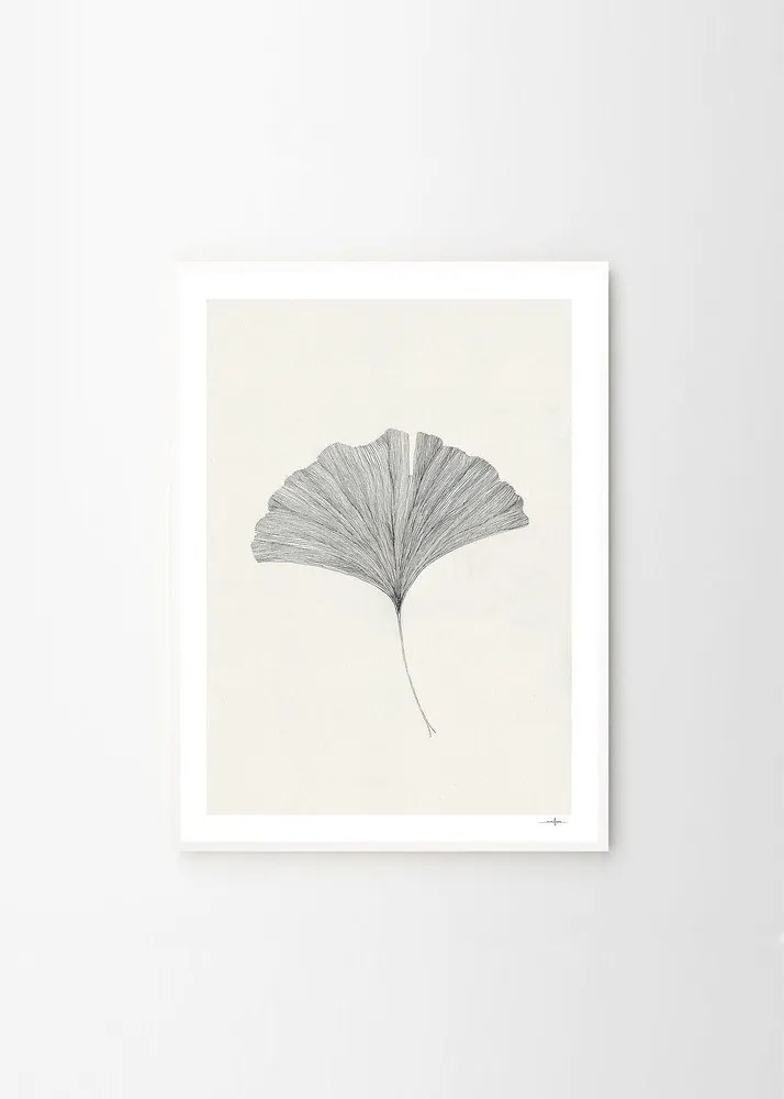 Plakat 50x70 cm Ginkgo Leaf – Ana Frois – The Poster Club