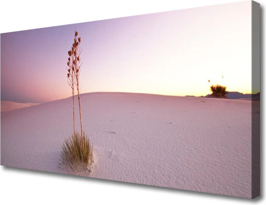 Obraz canvas Piaszczyste Wydmy Pustyni