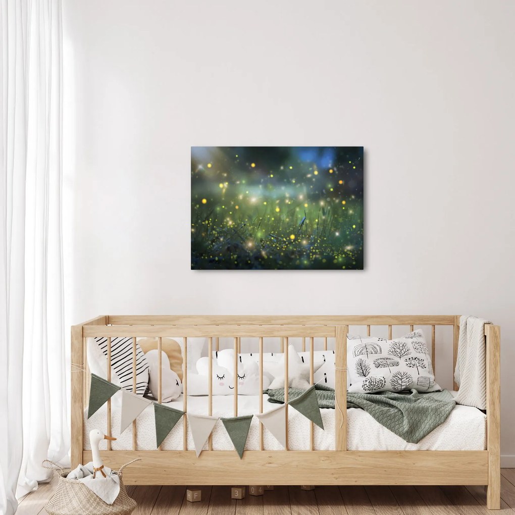 Obraz - Magiczna noc (70x50 cm)