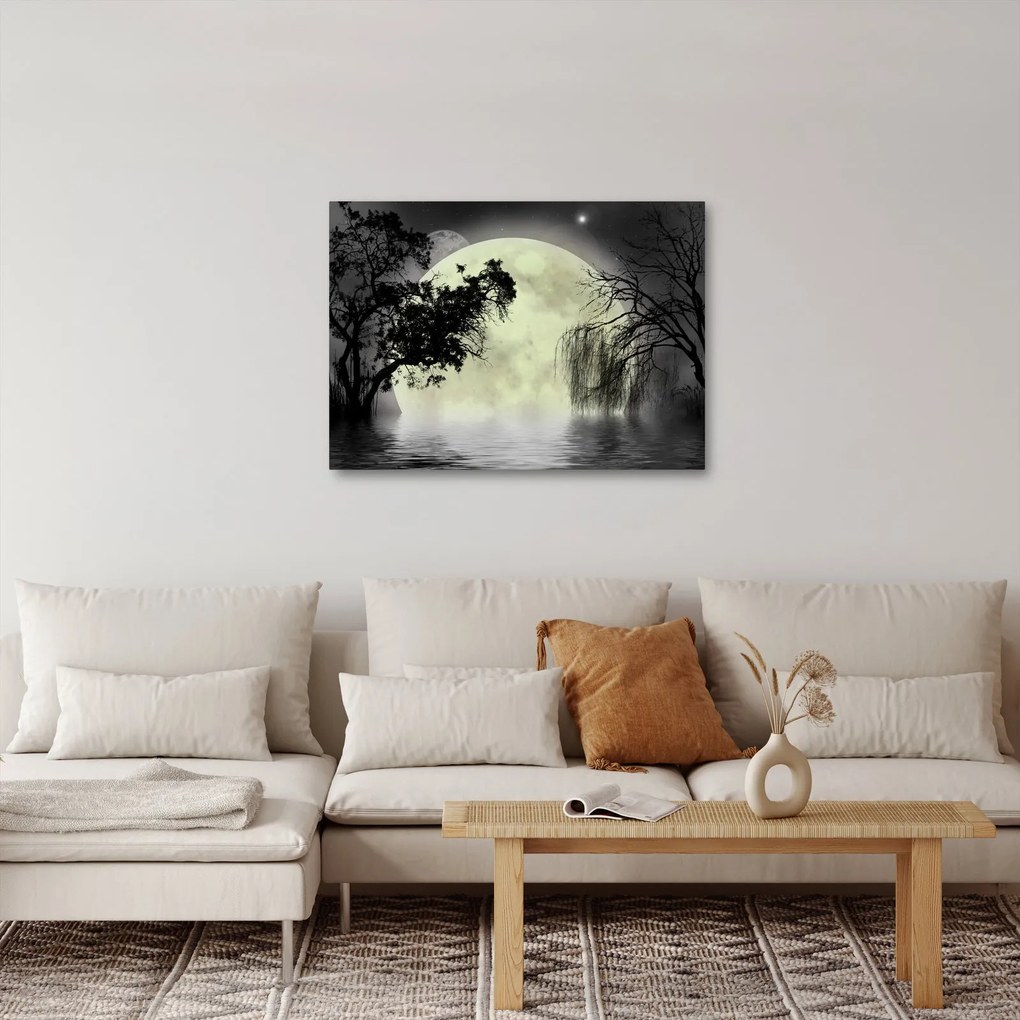Obraz - Księżyc w pełni nad powierzchnią, wersja czarno - biała (70x50 cm)