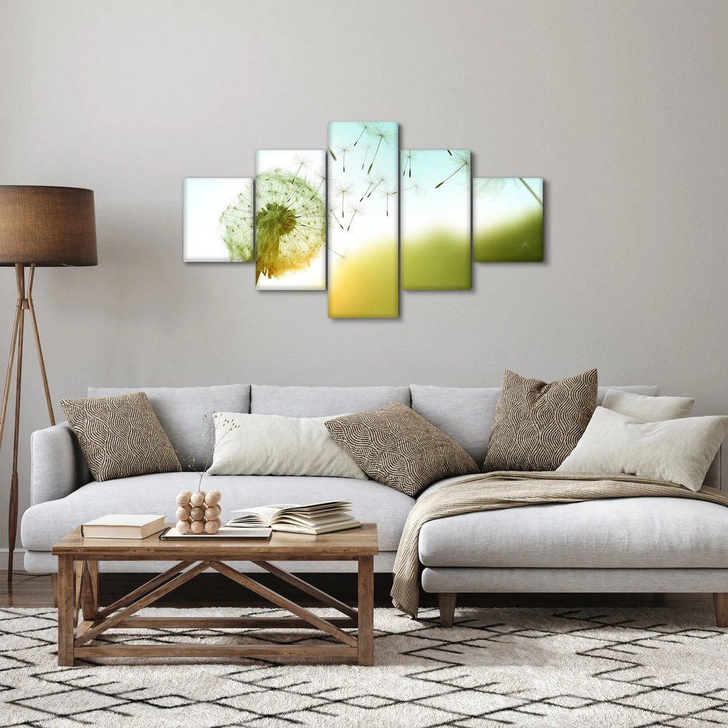 Obraz - Dmuchawiec na wietrze (125x70 cm)