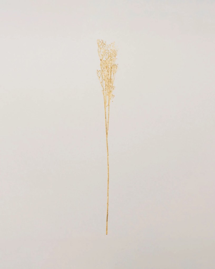 Gałązka Frostbloom ecru 80 cm