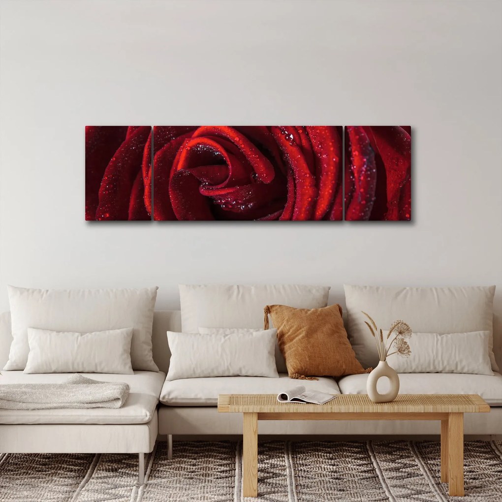 Obraz - Czerwona róża z kroplami rosy (170x50 cm)