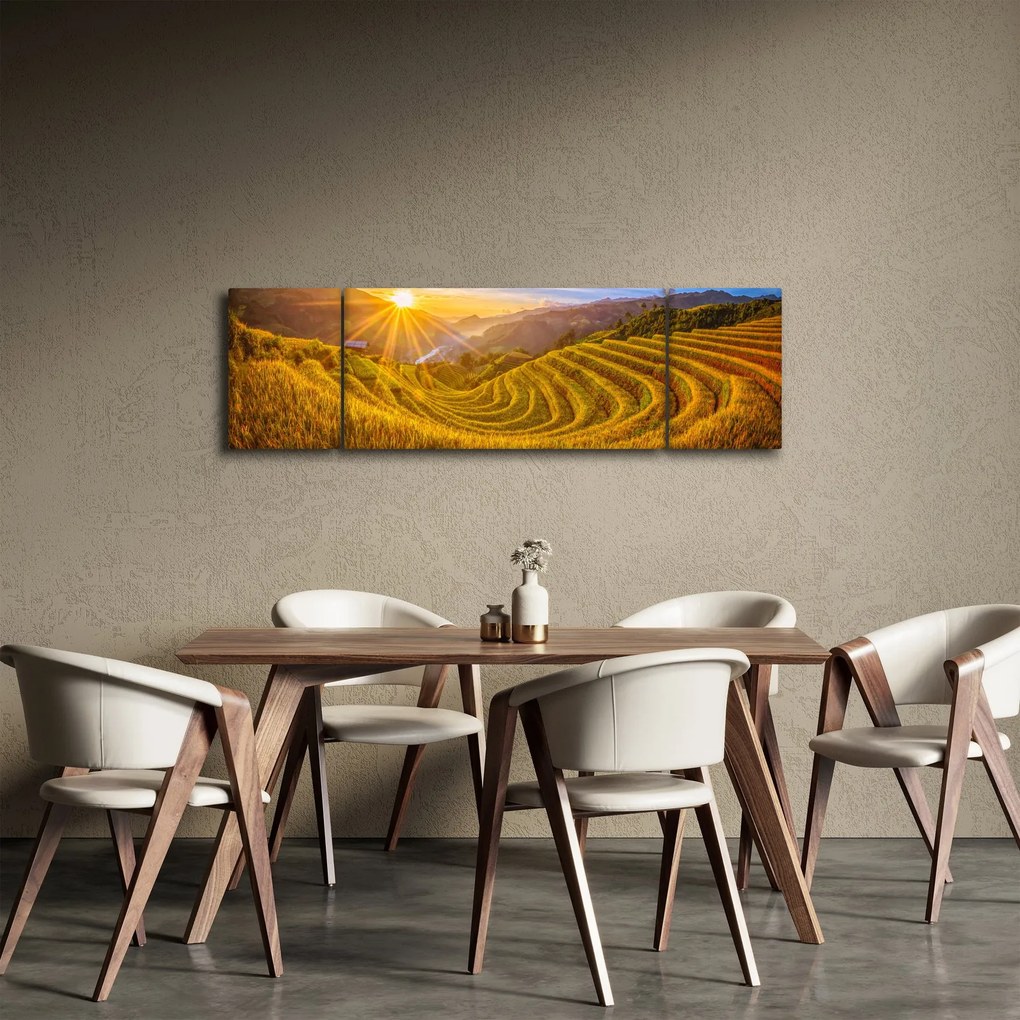 Obraz - Pole ryżowe w Wietnamie (170x50 cm)