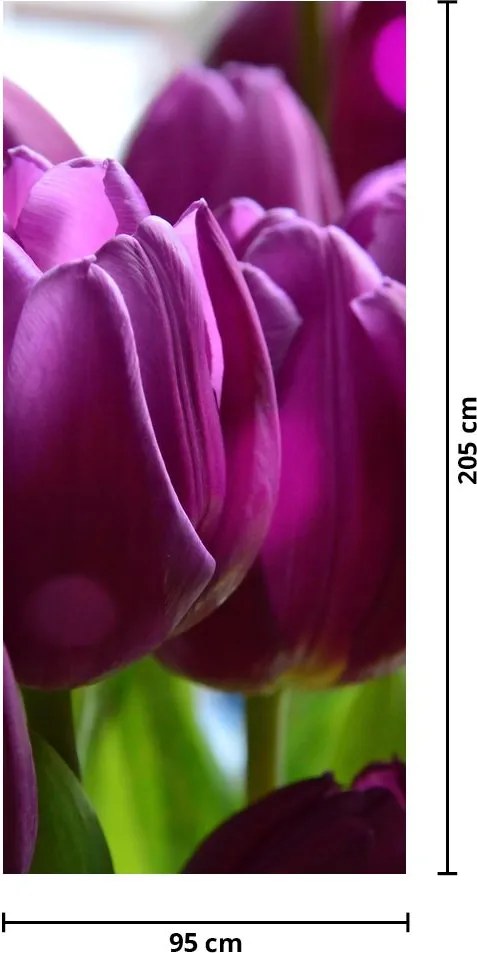 Fototapeta na drzwi - Tulipany (95x205cm)