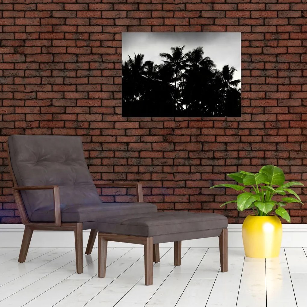 Obraz na szkle czarno - biały - palmy (70x50 cm)