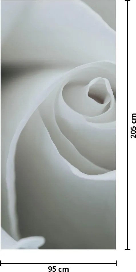 Fototapeta na drzwi - Biała róża (95x205cm)