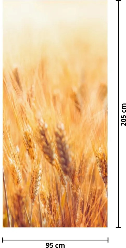 Fototapeta na drzwi - Pole ze zbożem (95x205cm)