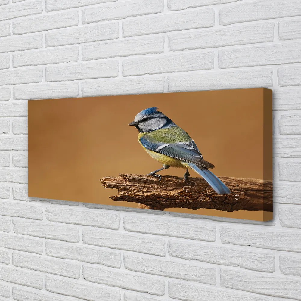 Zdjęcie na płótnie Portret Ptaka