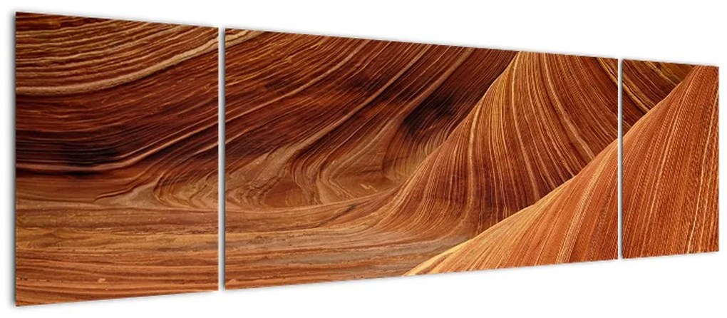 Obraz - Czerwony piasek (170x50 cm)