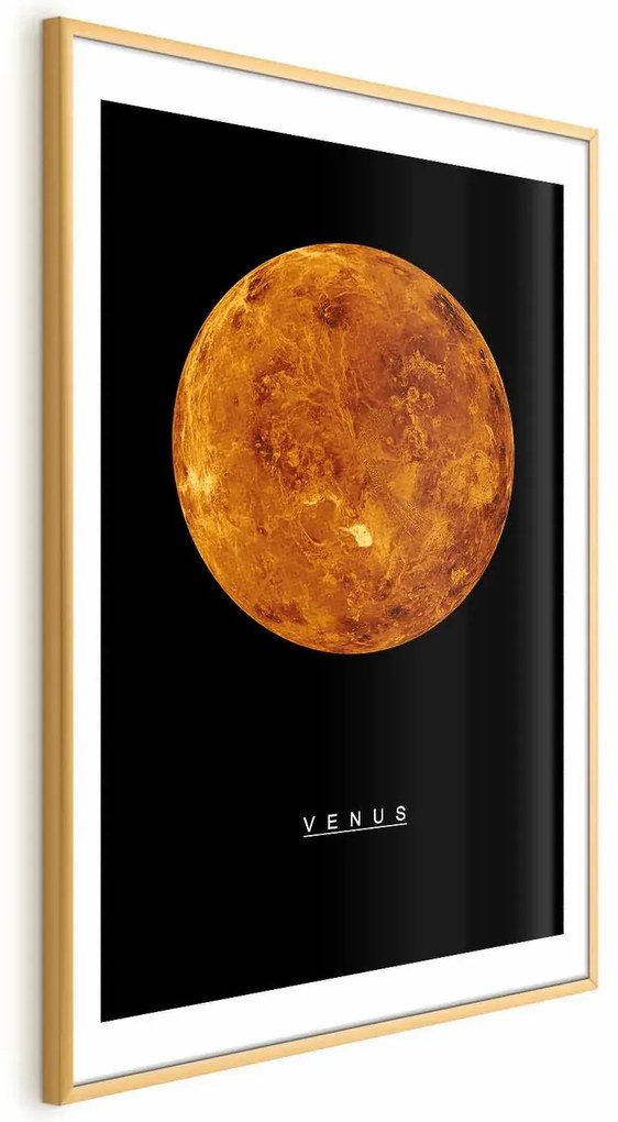 Plakat Wenus 60x90 cm z ramą złotą z marginesem ARTGEIST B