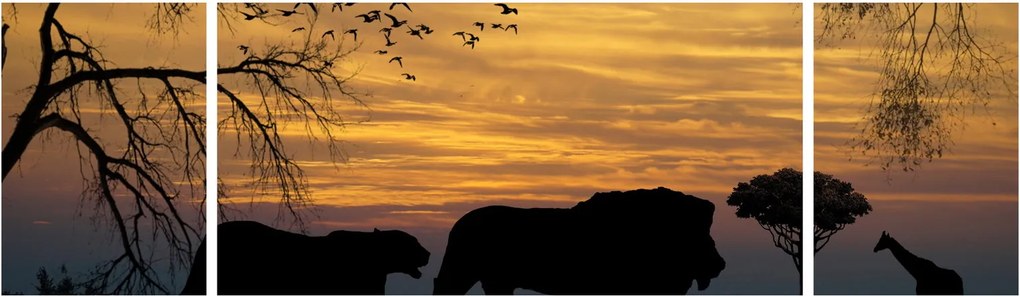 Obraz Safari (170x50 cm)