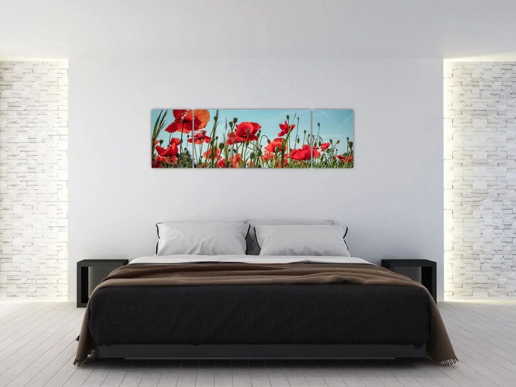 Obraz - Na polu maków (170x50 cm)