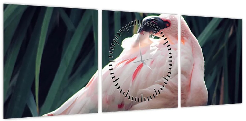 Obraz - Flaming (z zegarem) (90x30 cm)