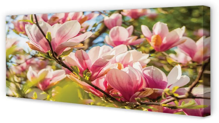 Fotoobraz na płótnie Różowa Magnolia