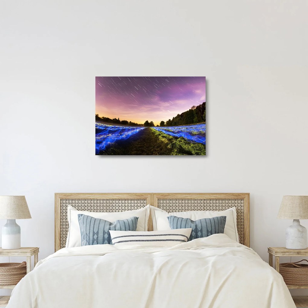 Obraz na szkle - kolorowe pole (70x50 cm)