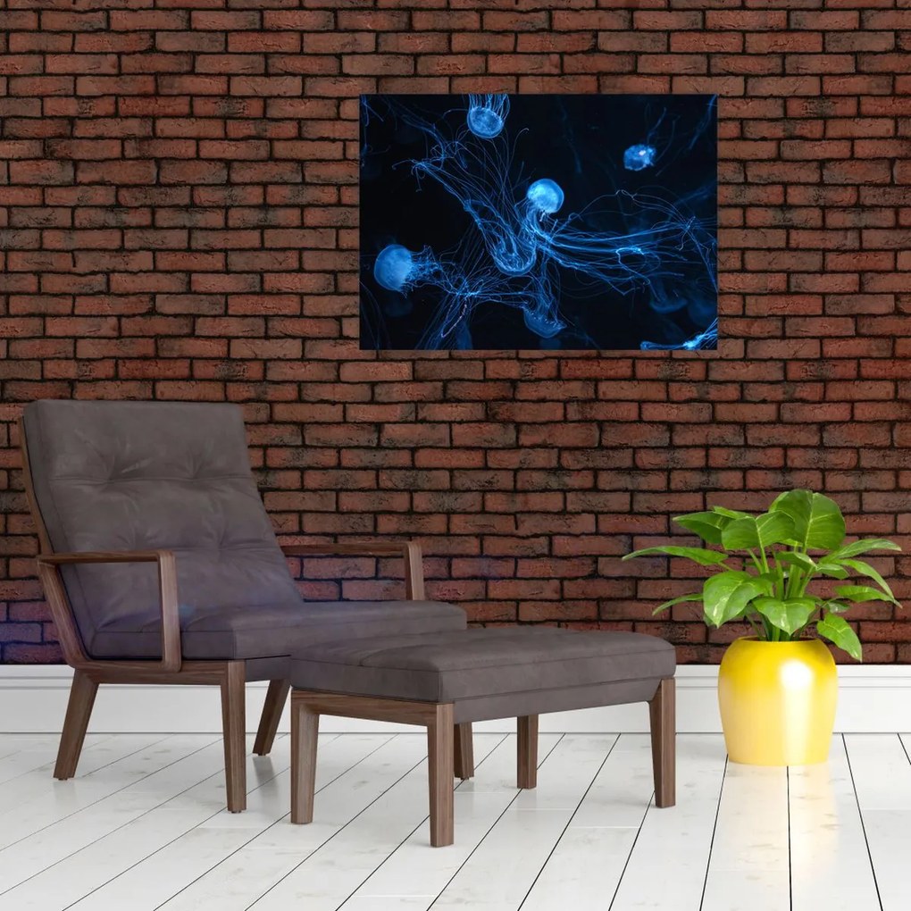 Obraz na szkle - Meduza (70x50 cm)