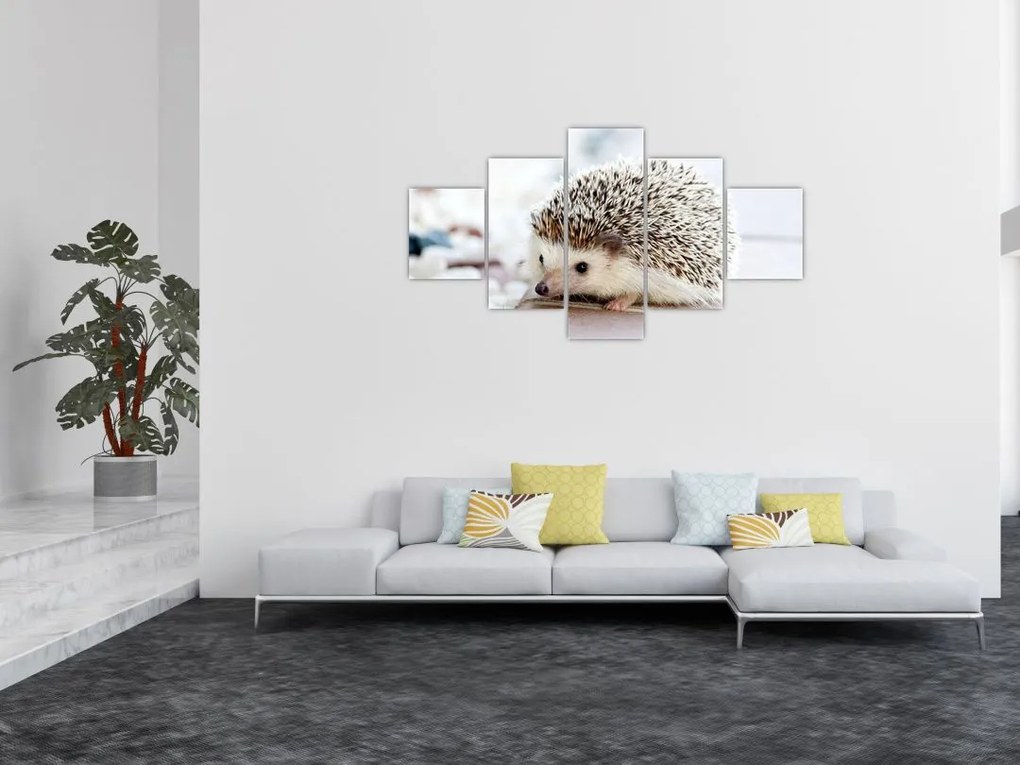 Obraz jeża (125x70 cm)