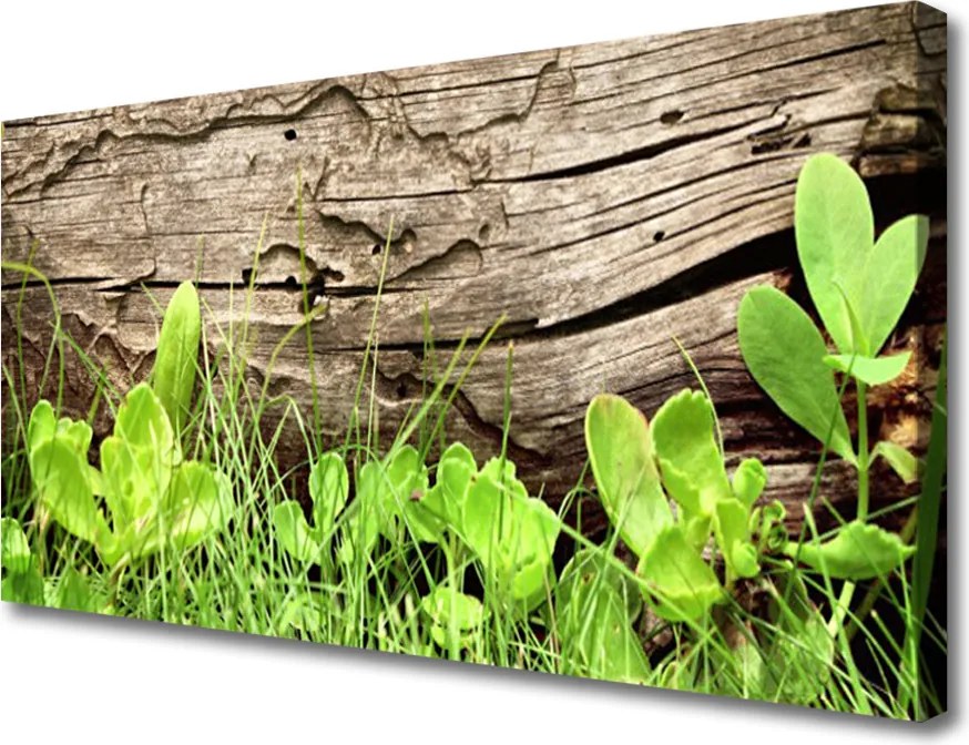 Obraz canvas Kwiaty Ukryte w Trawie