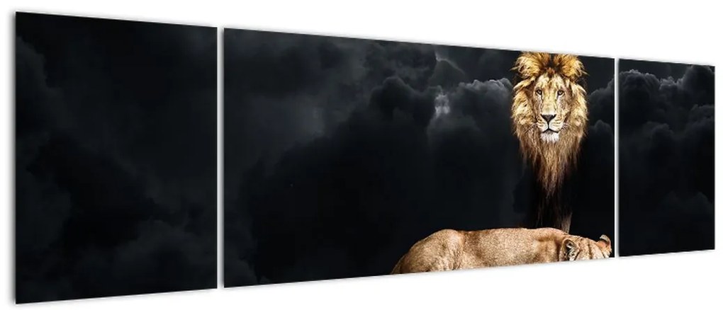 Obraz - Lew i lwica w chmurach (170x50 cm)