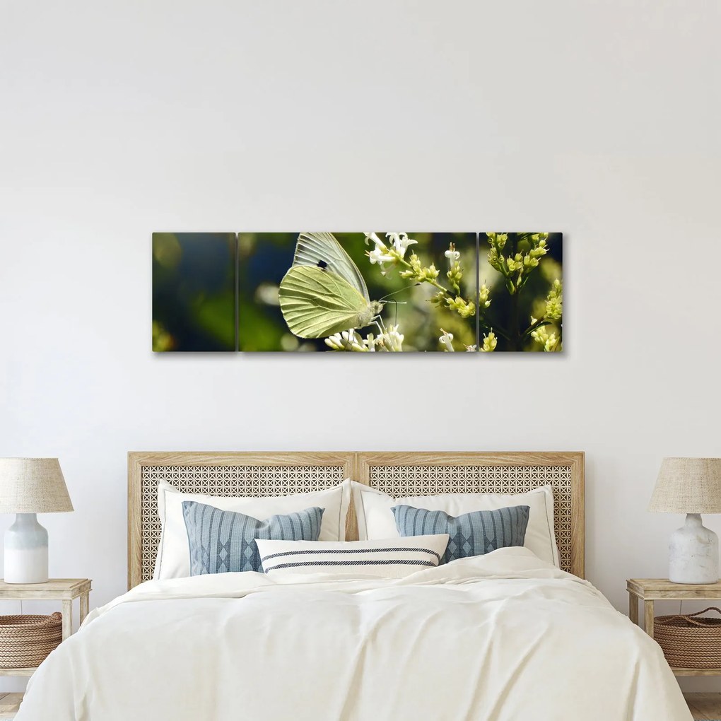 Obraz motyla (170x50 cm)