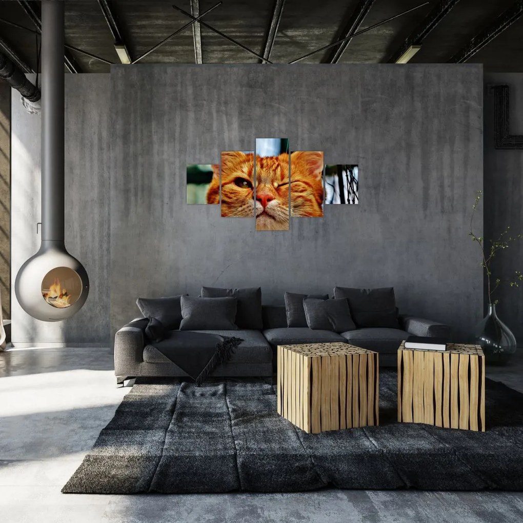 Obraz mrugającego kota (125x70 cm)