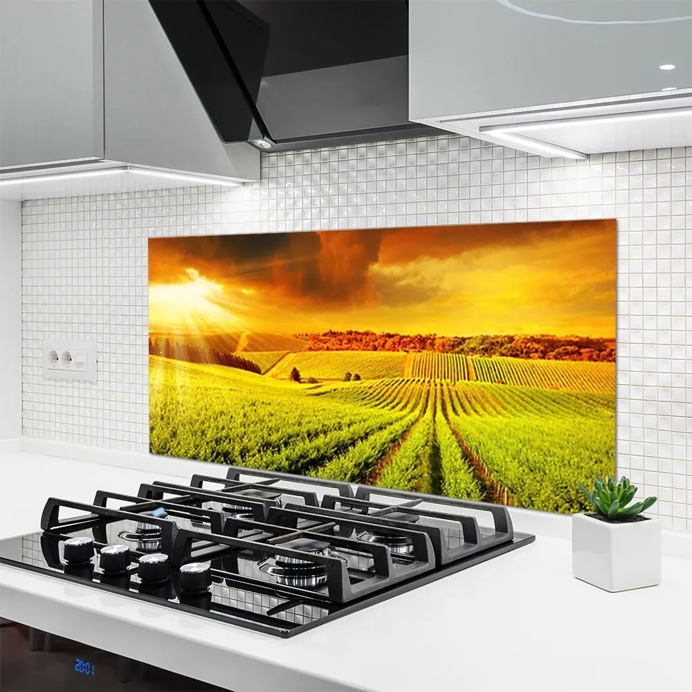 Panel Kuchenny Złota Godzina Nad Polem