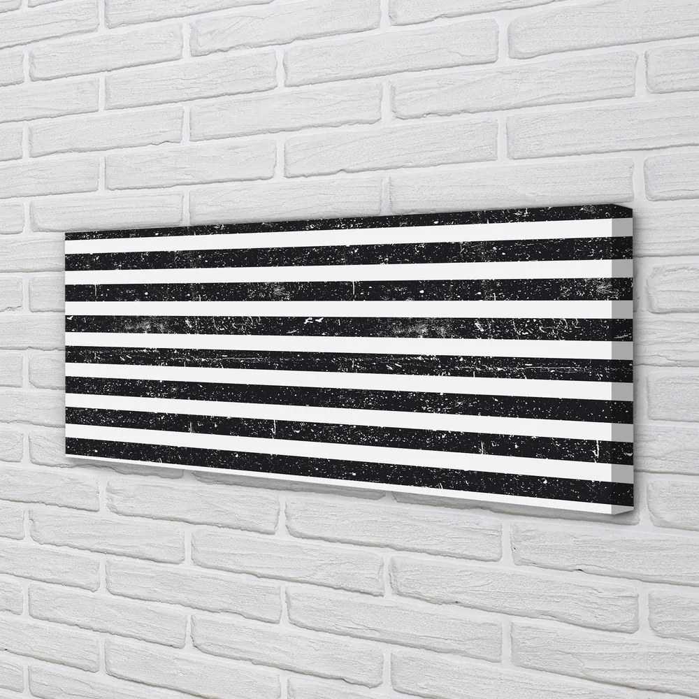 Obraz canvas na ścianę Motyw Zebry i Plam