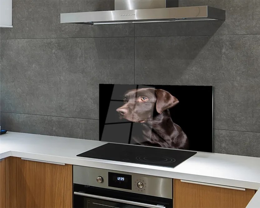 Panel szklany do Kuchni Wierny Brązowy Przyjaciel