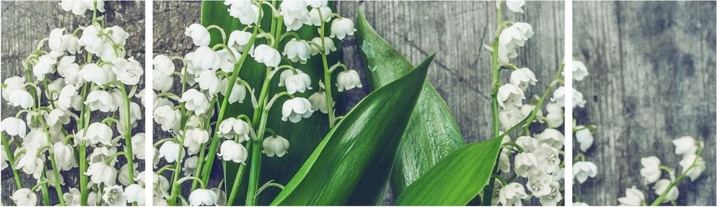 Obraz konwalii (170x50 cm)