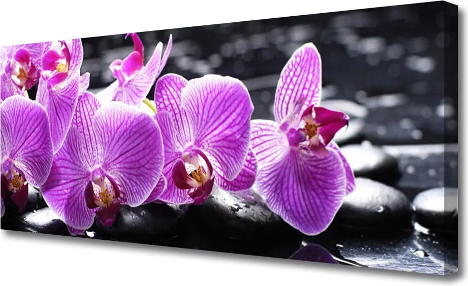 Fotoobraz na płótnie Subtelny Płatek Natury