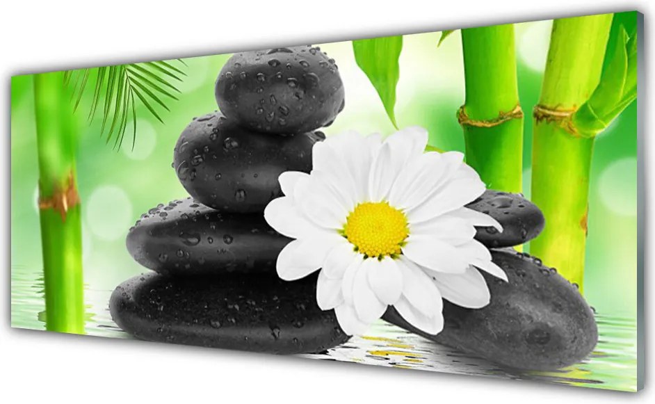 Panel Szklany Nieoczekiwany Duet: Bambus i Stokrotka