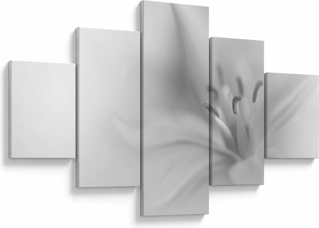 Obraz - Delikatna lilia (125x70 cm)