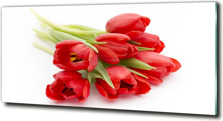 Foto obraz szklany Czerwone tulipany