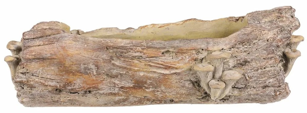 Opakowanie betonowe - skrzynka, drewno z grzybami,49 x 21 x 15 cm