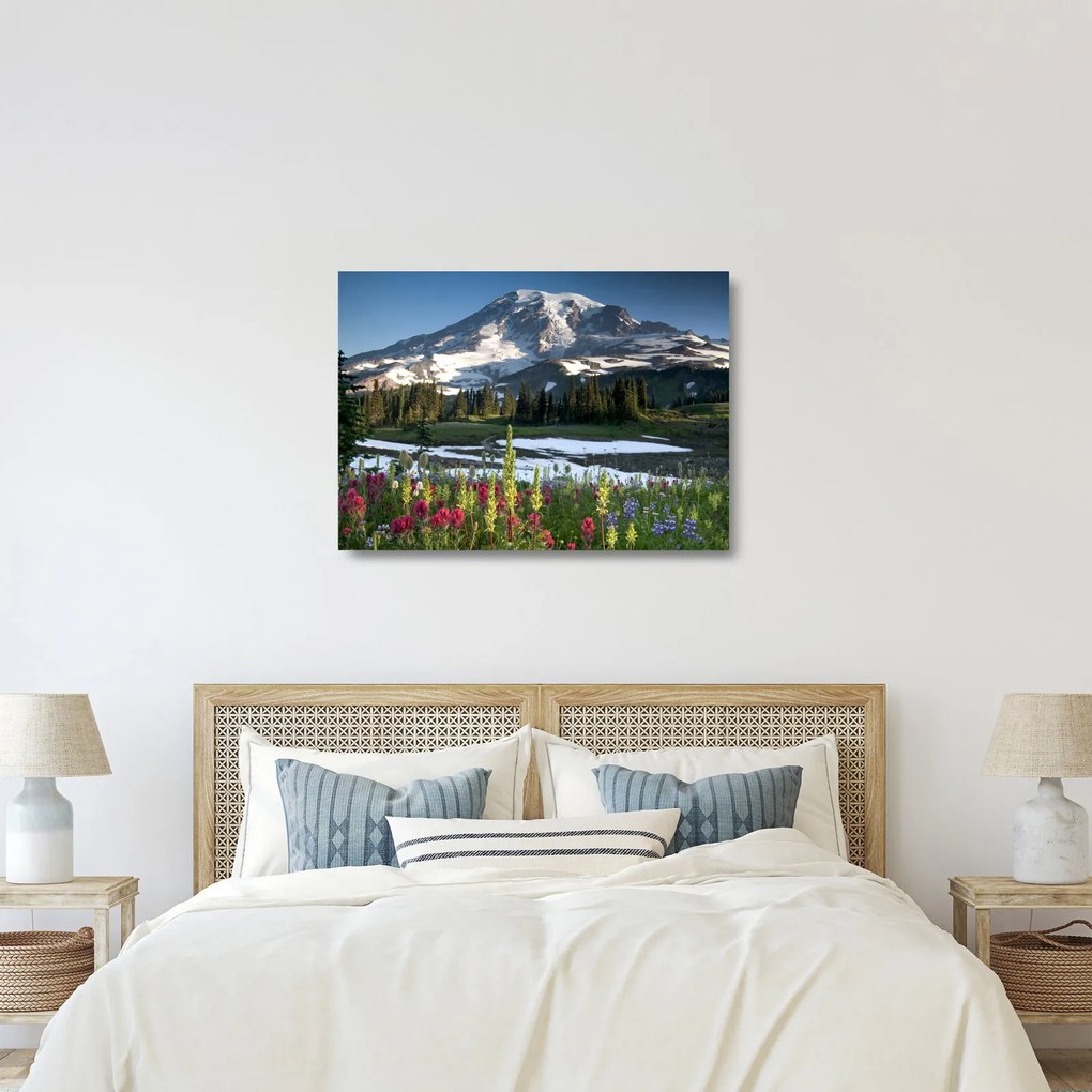 Obraz na szkle - Mount Rainier (70x50 cm)